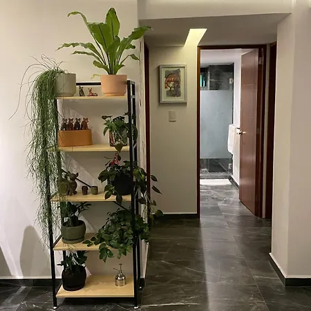 Great Apartment In The Heart Of Coyoacan México DF Exterior foto
