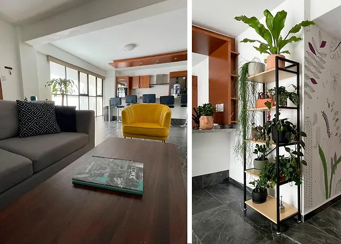 Great Apartment In The Heart Of Coyoacan
