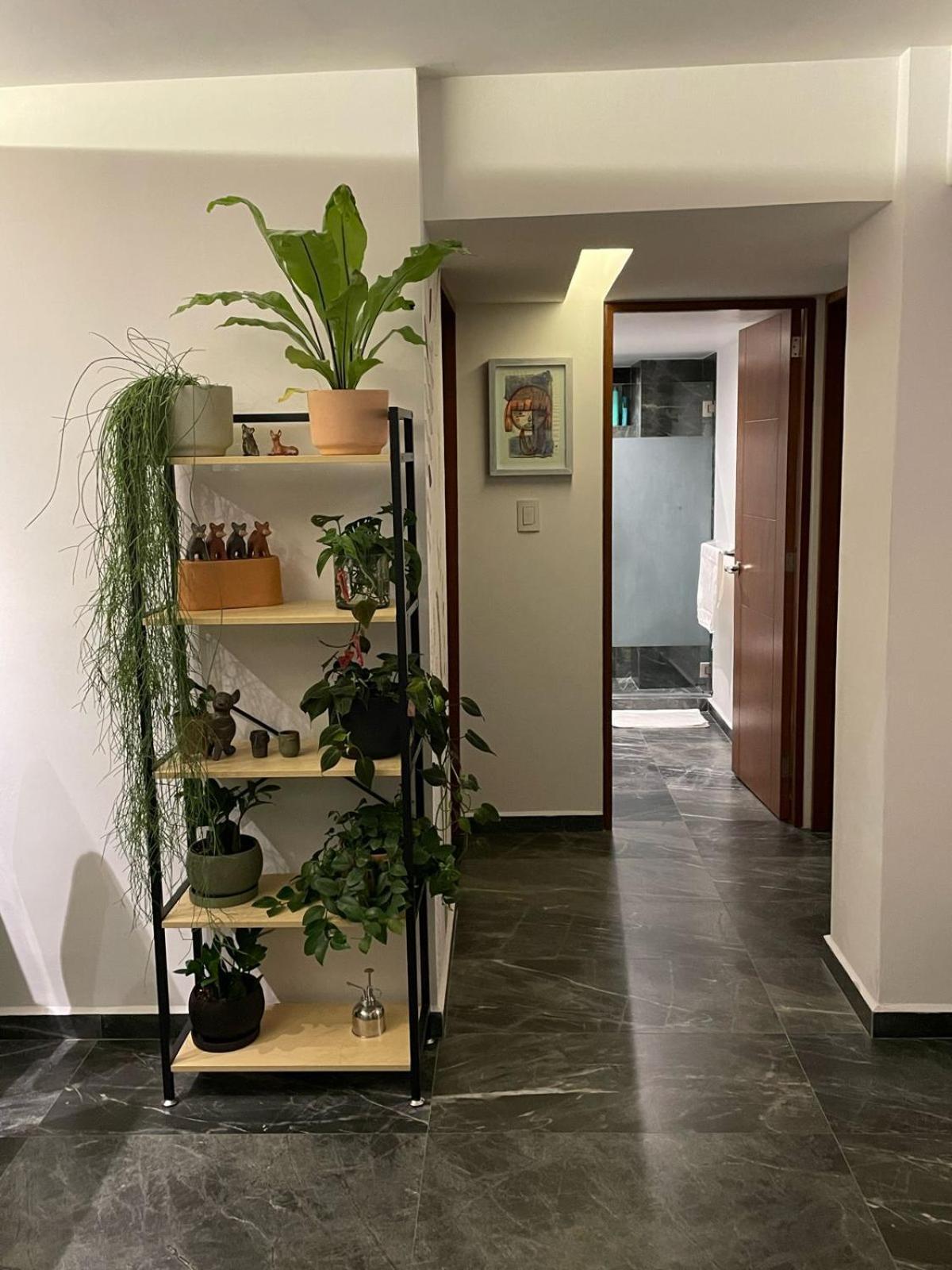 Appartement Great In The Heart Of Coyoacan *