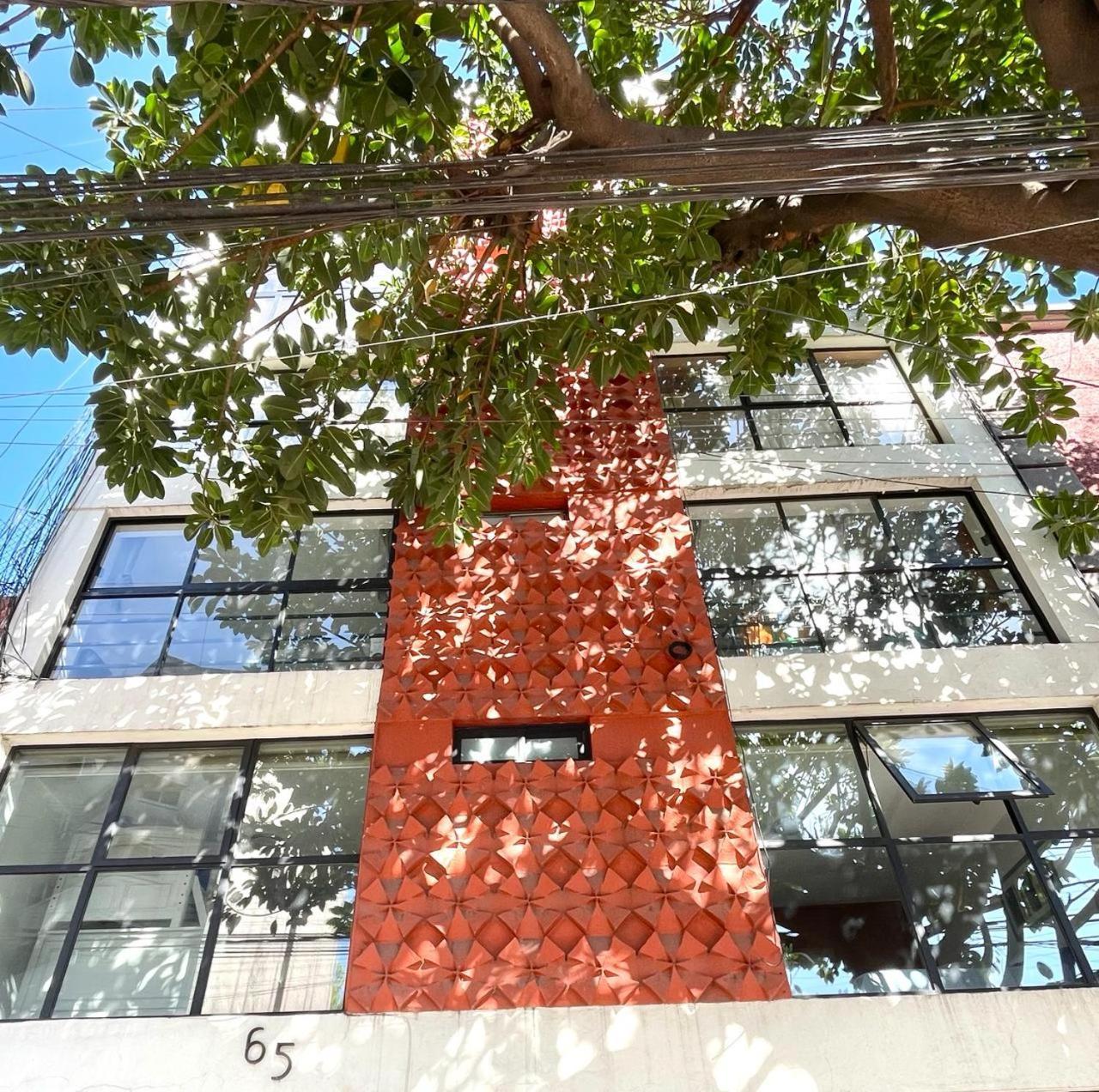 Great In The Heart Of Coyoacan * México DF